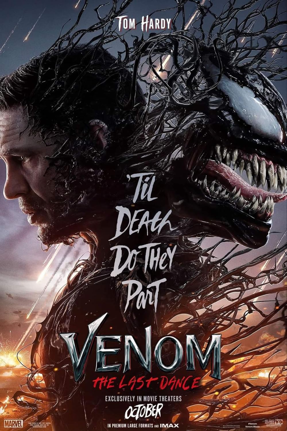 VENOM: THE LAST DANCE (2024) Hollywood, Movie