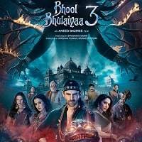 Bhool Bhulaiyaa 3 (2024) Hindi Full Movie Watch Online HD Print Free Download