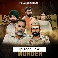 Watch Punjab Crime Files (2024